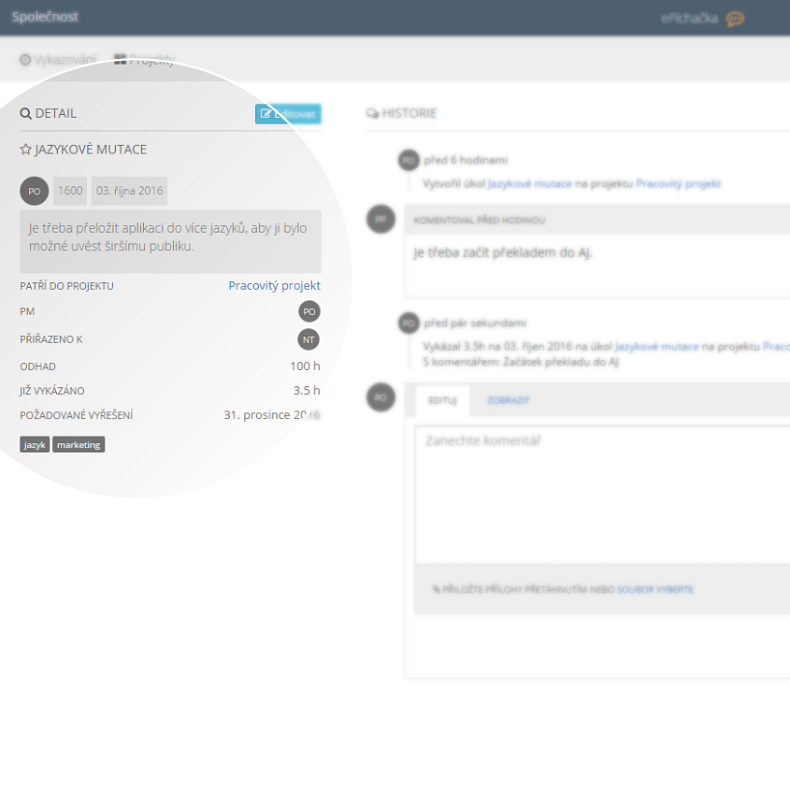 Metadata v detailu úkolu